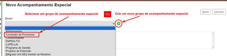 acompanhamento-especial-selecionar-adicionar-grupo-ao-processo.jpg