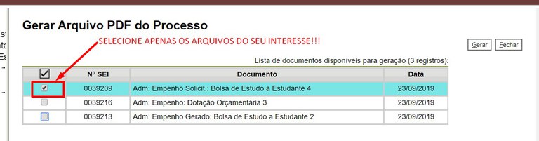 arquivo-pdf-geracao-selecionados.jpg