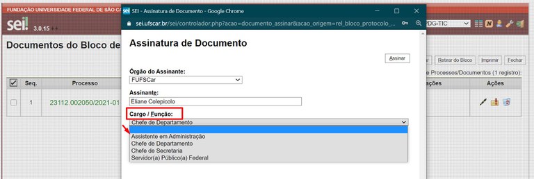 assinar-blocos-assinatura-06-selecione-cargo.jpg