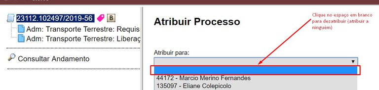 atribuir-processo-desatribuir.jpg