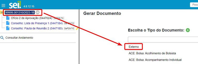 autenticacao-01-incluir-documento-externo.jpg