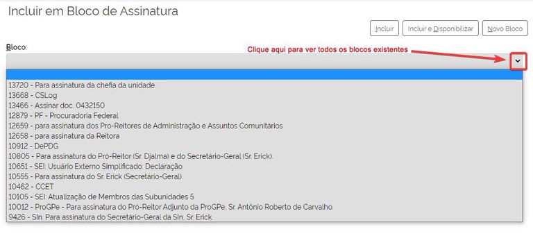 bloco-assinatura-ver-blocos-existentes.jpg