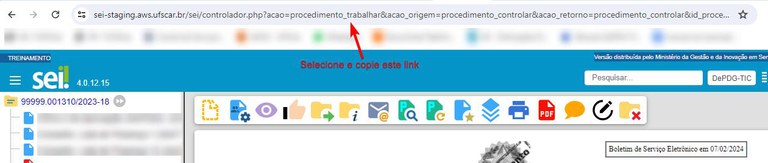 boletim-selecionar-copiar-link.jpg