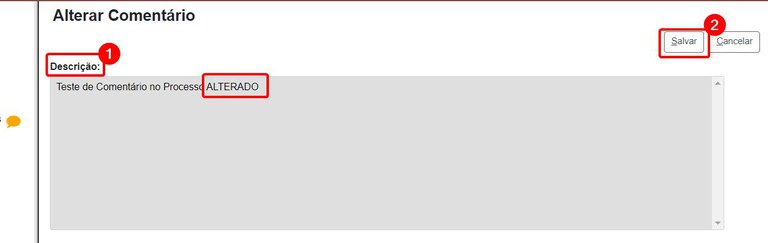 comentarios-em-processos-editar-2.jpg