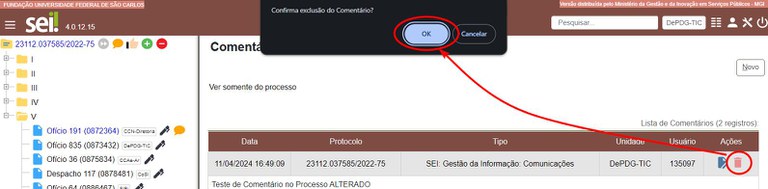 comentarios-em-processos-excluir-2.jpg