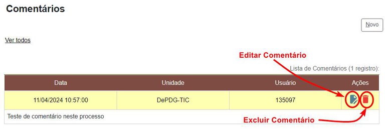 comentarios-em-processos-inserir-4.jpg