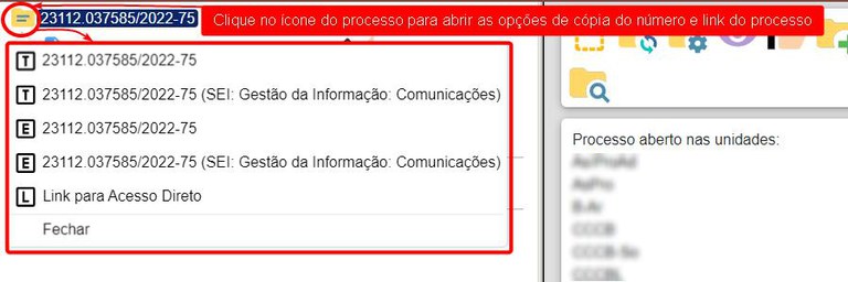 copiar-numero-link-processo-3.jpg