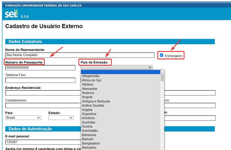 estrangeiro-cadastro-usuario-externo-02.jpg