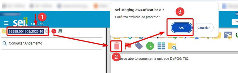 excluir-processo.jpg