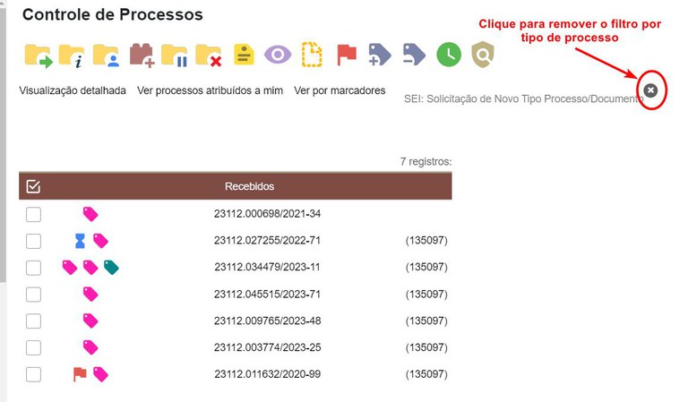 filtro-ver-por-tipo-processo-04.jpg
