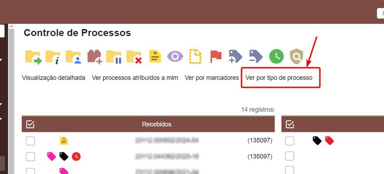 filtro-ver-por-tipo-processo.jpg