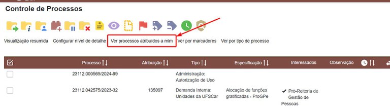 filtro-ver-processos-atribuidos-a-mim.jpg