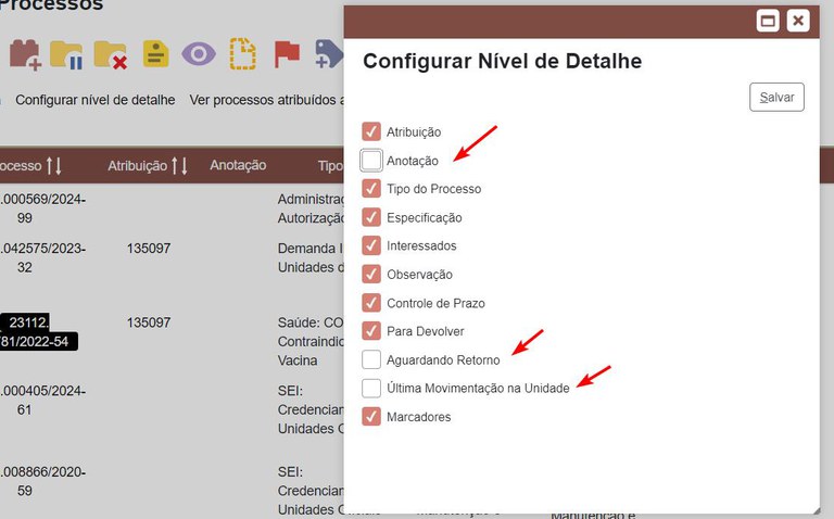 filtro-visualizacao-detalhada-configurar-nivel-detalhe-remover-campos.jpg