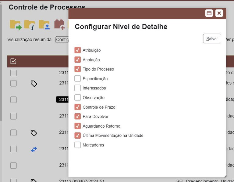 filtro-visualizacao-detalhada-configurar-nivel-detalhe.jpg