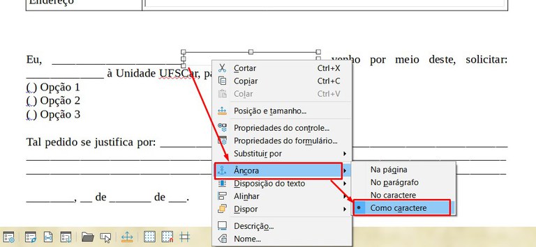 libre-office-writer-08-formulario-campo-ancora-como-caractere.jpg