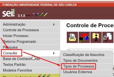 menu-consulta-tipo-processo.jpg