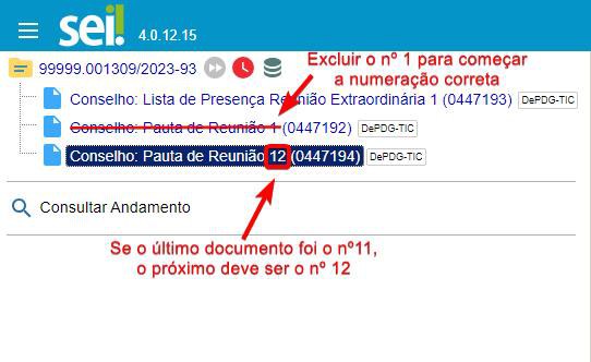 numeracao-documentos-conselhos-criados-excluir-numero-1-criar-numero-correto.jpg