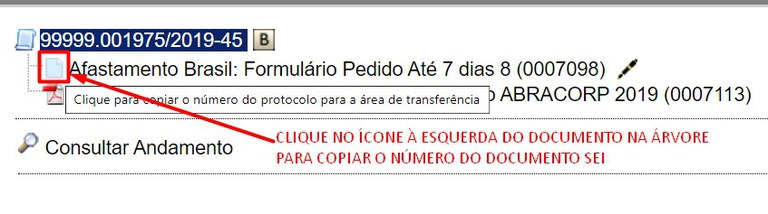 numero-documento-sei-copiar.jpg