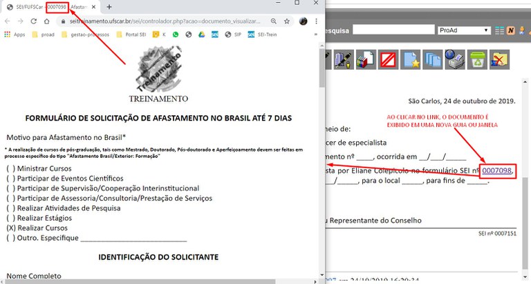 numero-documento-sei-ver-documento-nova-janela.jpg