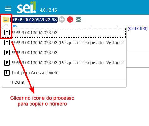 numero-processo-copiar.jpg