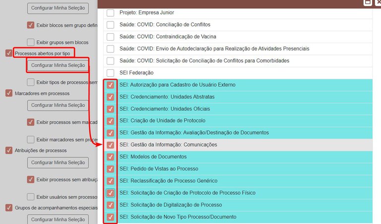 painel-controle-configurar-minha-selecao-5.jpg