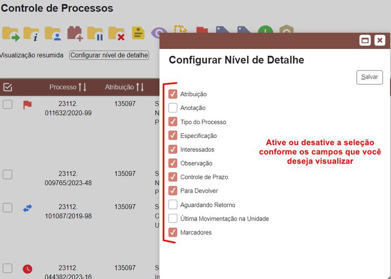 painel-controle-configurar-nivel-detalhe-2.jpg