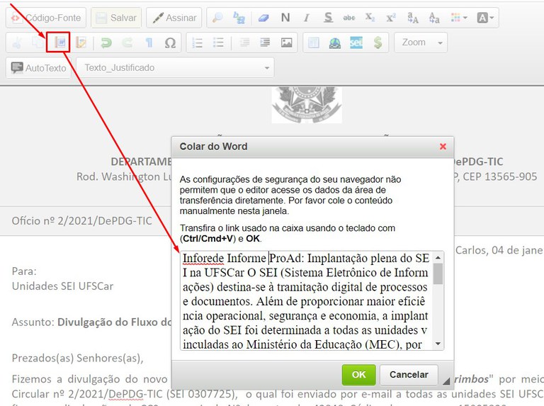 sei-editor-texto-colar-word.jpg