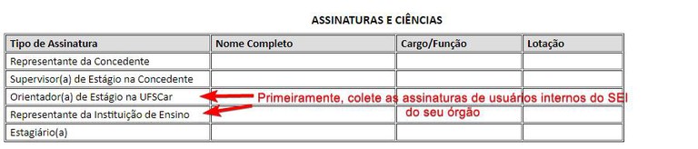 substituir-usuario-externo-assinatura-iti-02.jpg