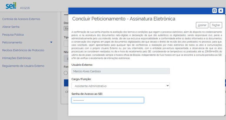 usuario-externo-peticionamento-cadastro-usuario-externo-concluir-peticionamento.jpg