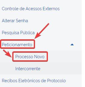 usuario-externo-peticionamento-processo-novo.jpg