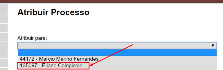 atribuir-processo-selecionar.jpg