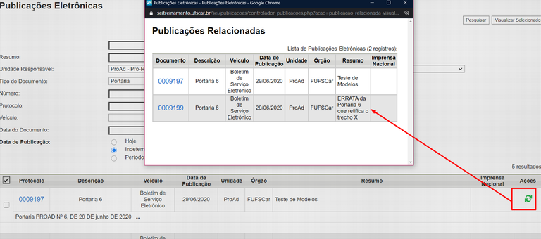 boletim-visualizar-publicacao-relacionada-2.png