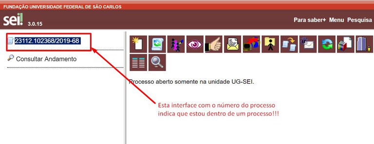 Estou dentro do Processo!!!