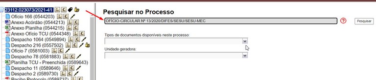 pesquisa-dentro-processo-02-inserir-lalavra-chave.jpg