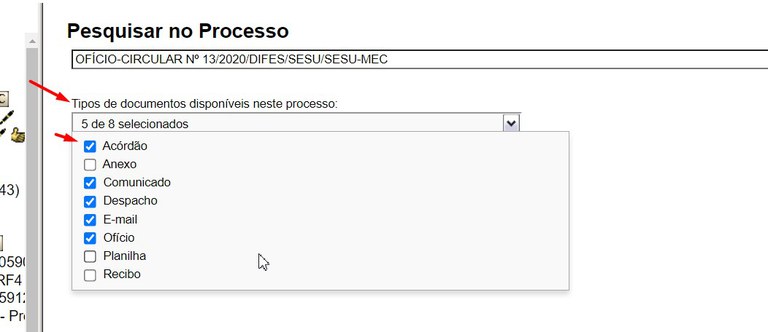 pesquisa-dentro-processo-03-selecionar-tipos-documentos.jpg