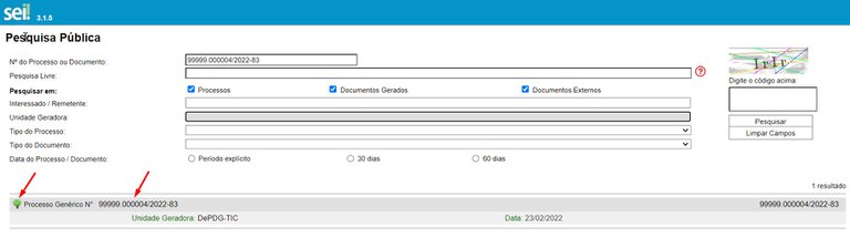sei-publico-08-testar-visibilidade-processo-resultados.jpg