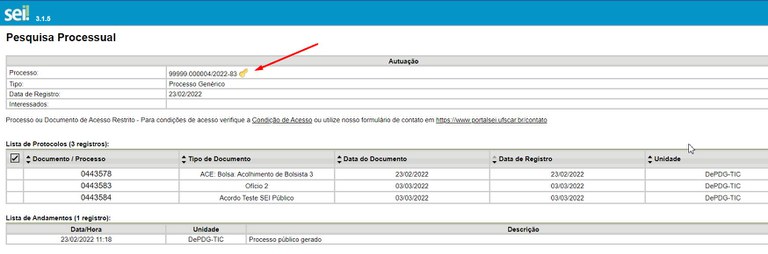 sei-publico-09-testar-visibilidade-processo-restrito.jpg