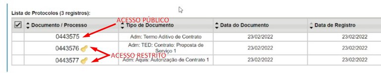 sei-publico-16-documentos-acesso-publico-restrito.jpg