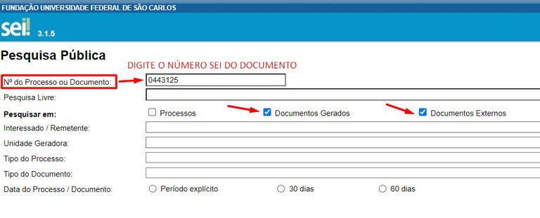 sei-publico-17-documentos-teste-pesquisa-publica.jpg